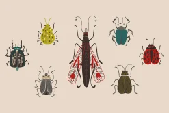 Folk Art Insects.