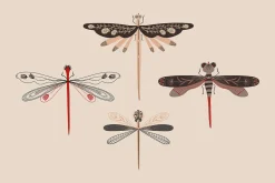 Folk Art Insects.