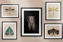 Folk Art Insects.
