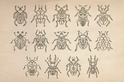 Folk art insects. Beetles collection
