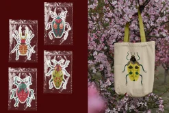 Folk art insects. Beetles collection