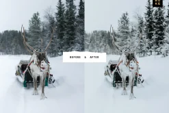 Folk White - Lightroom Presets Pair
