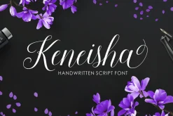 Font Collection | 33 Fonts