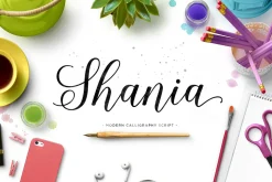 Font Collection | 33 Fonts