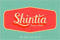 Font Collection | 33 Fonts