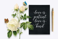 Font Collection | 33 Fonts