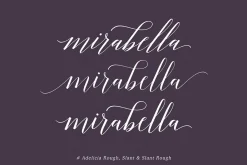 Font Collection | 33 Fonts