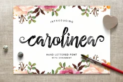 Font Collection | 33 Fonts