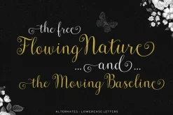 Font Collection | 33 Fonts