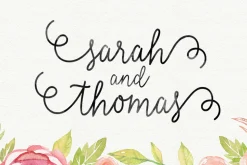 Font Collection | 33 Fonts