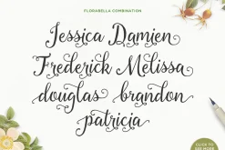 Font Collection | 33 Fonts