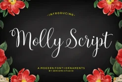 Font Collection | 33 Fonts
