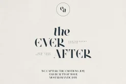 Font Bundle Vol.05 – 8 Premium Fonts