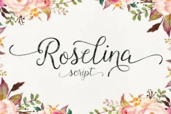 Font Collection | 33 Fonts