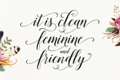Font Collection | 33 Fonts