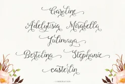 Font Collection | 33 Fonts