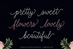 Font Collection | 33 Fonts