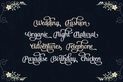 Font Collection | 33 Fonts