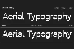 Font Collection | 33 Fonts