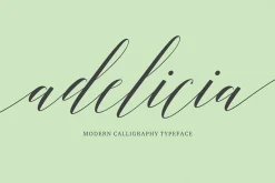 Font Collection | 33 Fonts