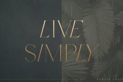 Footle gentle serif font