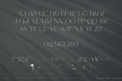 Footle gentle serif font
