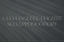 Footle gentle serif font