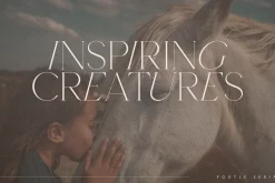 Footle gentle serif font