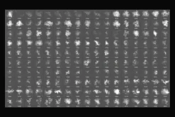 Fractal Dust Stamp Brushes