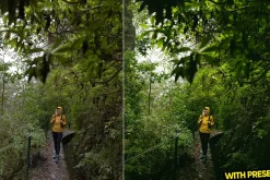 Fresh Place Presets for Lightroom