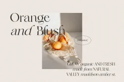 Frunchy Sage - Modern Serif Family