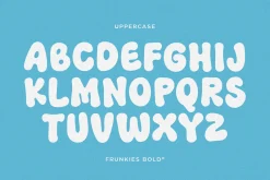 Frunkies – Chunky Bold Font