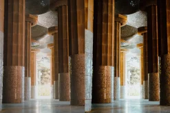 Fuji Astia 100F — Lightroom