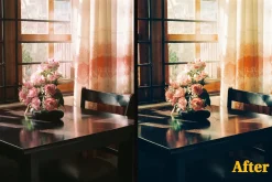 FUJI PRESETS | LR Mobile & Desktop