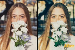 FUJI PRESETS | LR Mobile & Desktop
