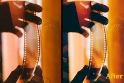 FUJI PRESETS | LR Mobile & Desktop