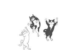 Funny Cats Line Art Bundle