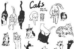 Funny Cats Line Art Bundle
