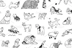 Funny Dogs