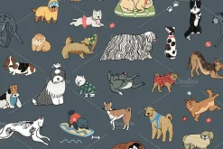 Funny Dogs