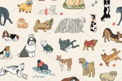 Funny Dogs