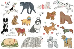 Funny Dogs