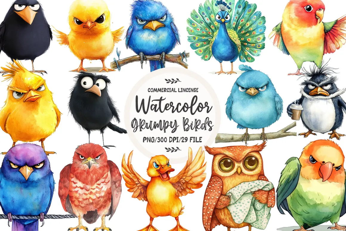 Funny Grumpy Birds Clipart