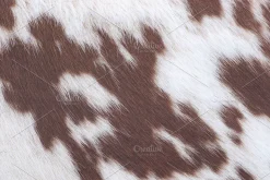 Fur Textures