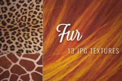 Fur Textures