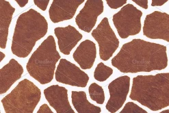Fur Textures