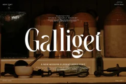 Galliget Modern Serif Font