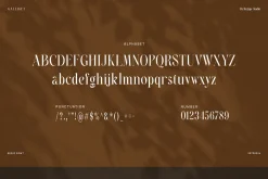 Galliget Modern Serif Font
