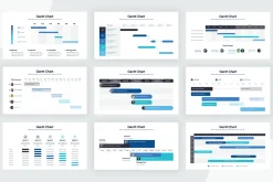 Gantt Chart Infographics
