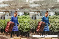 20 Garden Mood Lightroom Presets LUT